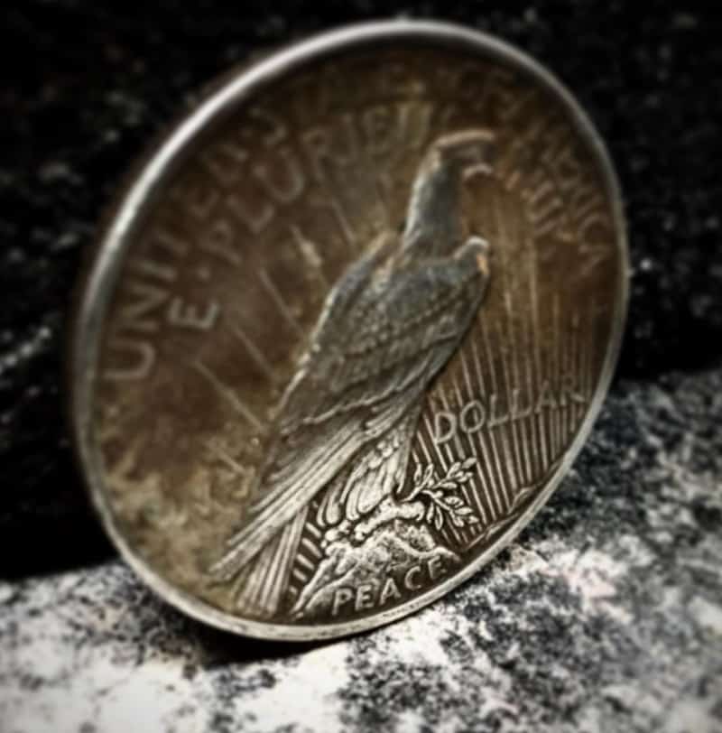 1921 silver dollar The Reverse