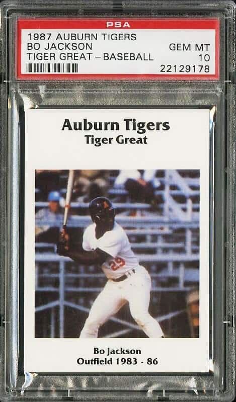 1987 Auburn Tigers Baseball Greats Bo Jackson