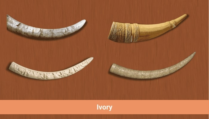 About Ivory & Ivory Trade
