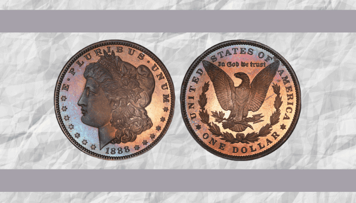 Most Valuable 1888 Silver Dollar Worth Money (Rarest Sold For $90,000)