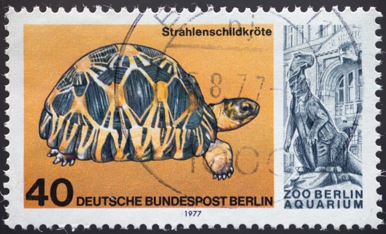 10 Rare And Most Valuable Stamps From Germany: Please, Stay Away From Licking The Stamp!