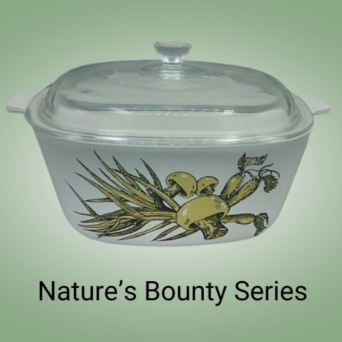 Nature’s Bounty Series