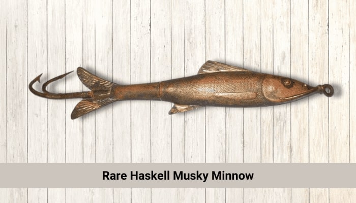 Rare Haskell Musky Minnow