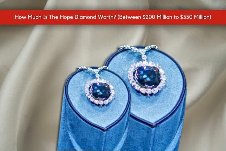 How Much Is The Hope Diamond Worth? (Between $200 Million to $350 Million)