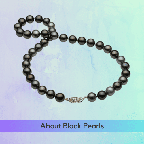 How Much Are Black Pearls Worth - About Black Pearls